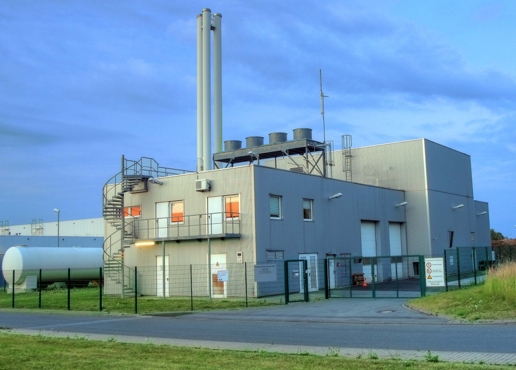 Centrale de cogénération biomasse, 2013