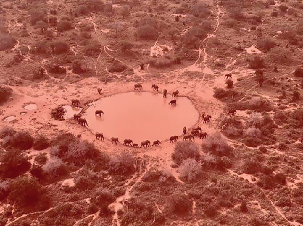 Kasigau - projet compensation carbone rouge 2