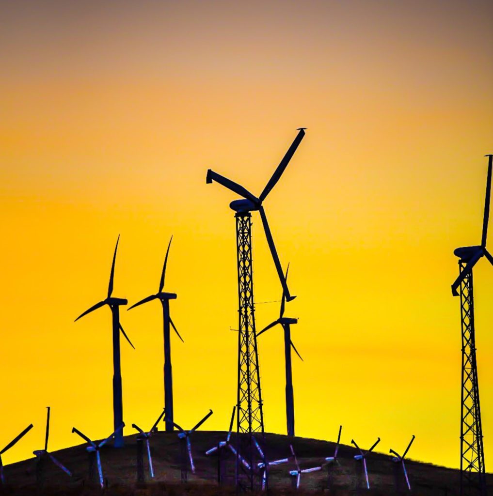 photo jaune éoliennes