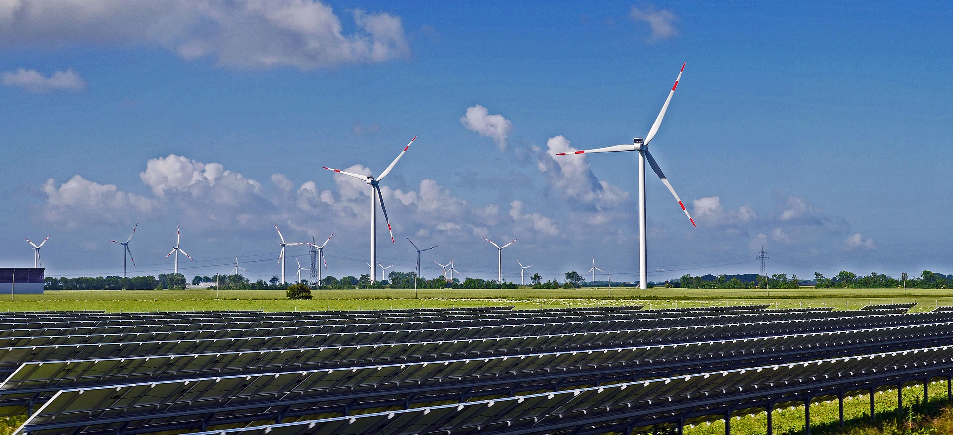 L’engagement des entreprises pour l’électricité verte en 2020